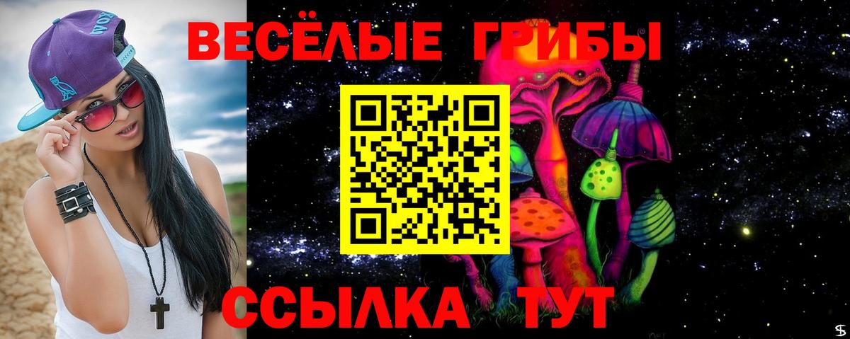 Псилоцибиновые грибы GOLDEN TEACHER Кострома