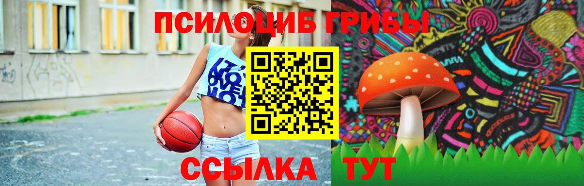 цена   Галлюциногенные грибы прущие грибы  Псилоцибиновые грибы мухоморы  Вход с VPN  Кострома 