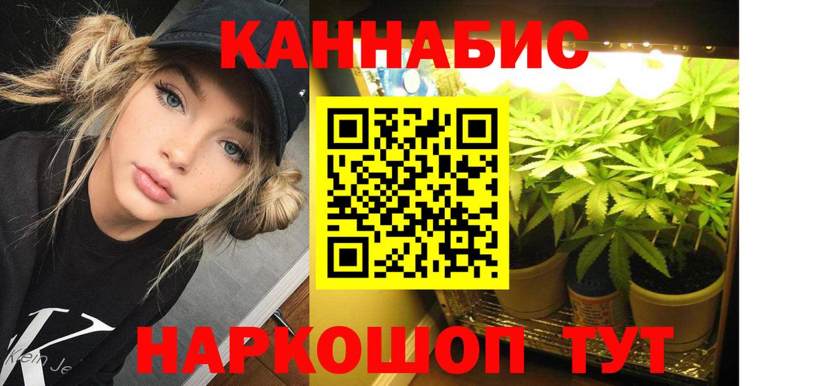 Канабис конопля Кострома