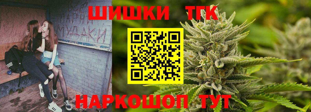 МЕФ Кострома